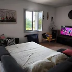 Sud Bastia 50 M2 Prive Avec Jacuzzi Et Piscine Villa