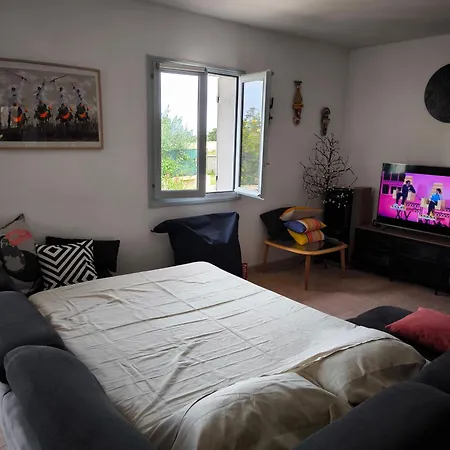 Sud Bastia 50 M2 Prive Avec Jacuzzi Et Piscine ヴィラ