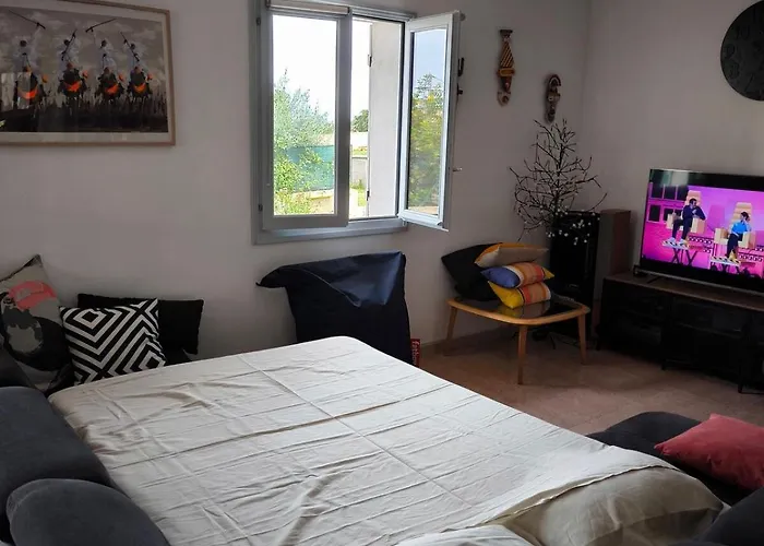 Sud Bastia 50 M2 Prive Avec Jacuzzi Et Piscine Monte (Corsica)